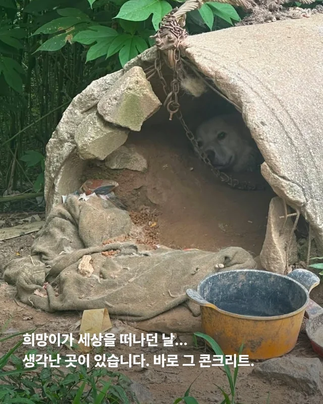 희망이 학대자를 고발했습니다 현장 사진