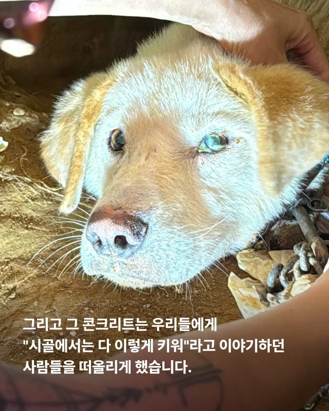 희망이 학대자를 고발했습니다 현장 사진