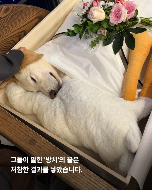 희망이 학대자를 고발했습니다 현장 사진