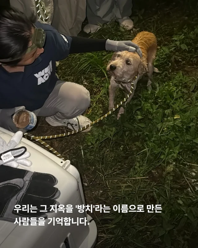 희망이 학대자를 고발했습니다 현장 사진