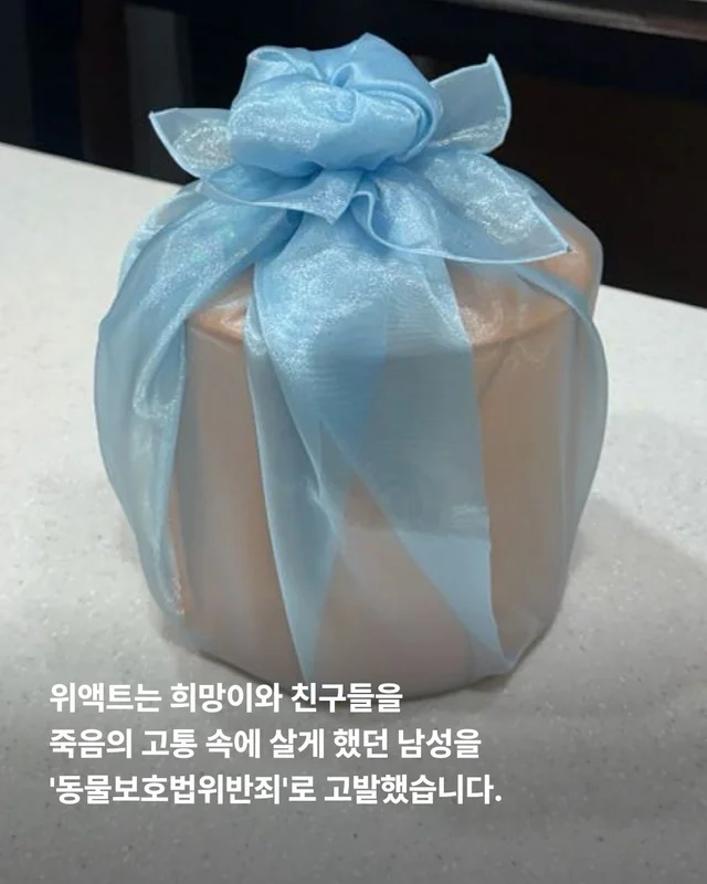 희망이 학대자를 고발했습니다 현장 사진