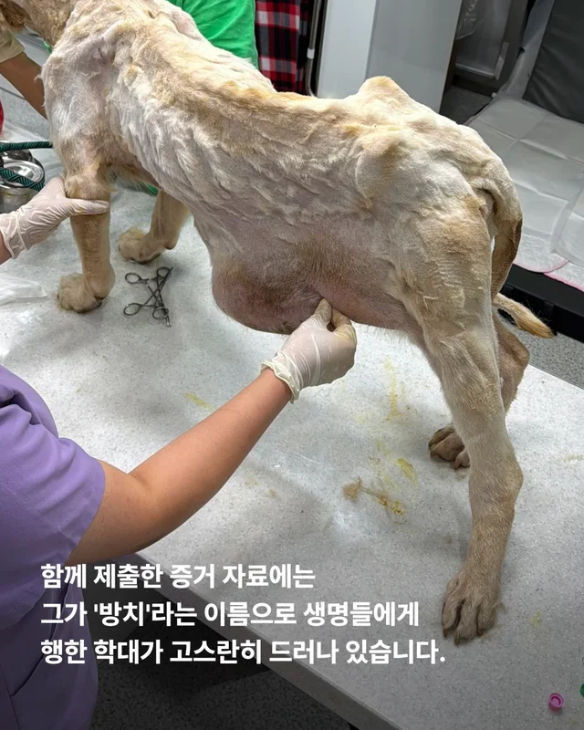 희망이 학대자를 고발했습니다 현장 사진