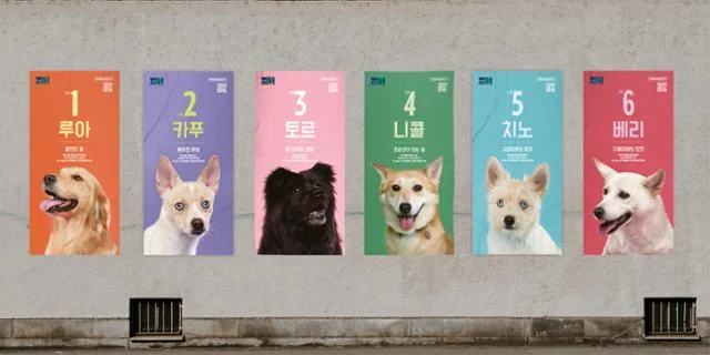 "멍멍, 저를 뽑아주세요" 선거 콘셉트 구조견 입양 행.. 보도 사진