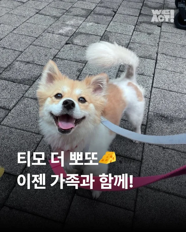 가족 품에서 더욱 빛나는 꼬리펠러 ! 현장 사진