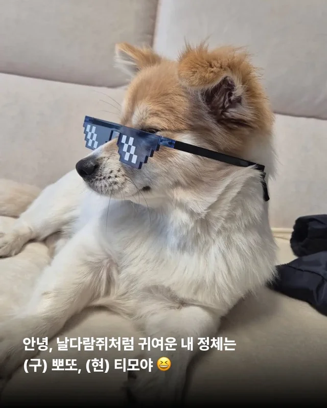 가족 품에서 더욱 빛나는 꼬리펠러 ! 현장 사진