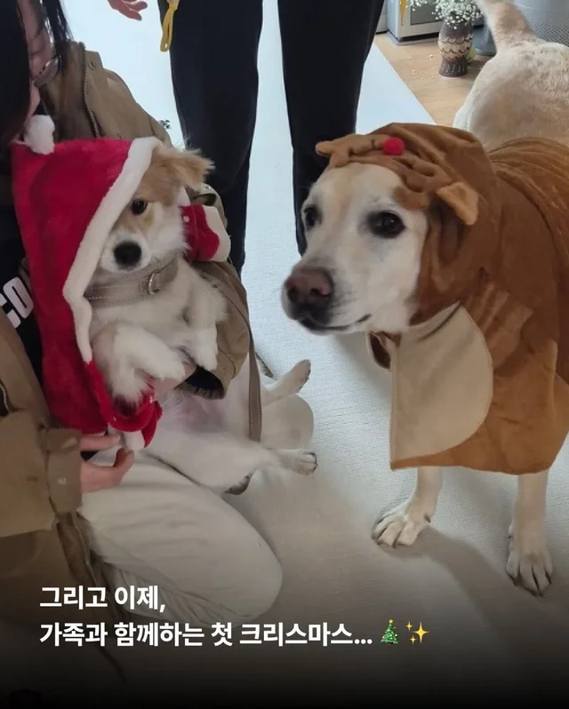 가족 품에서 더욱 빛나는 꼬리펠러 ! 현장 사진