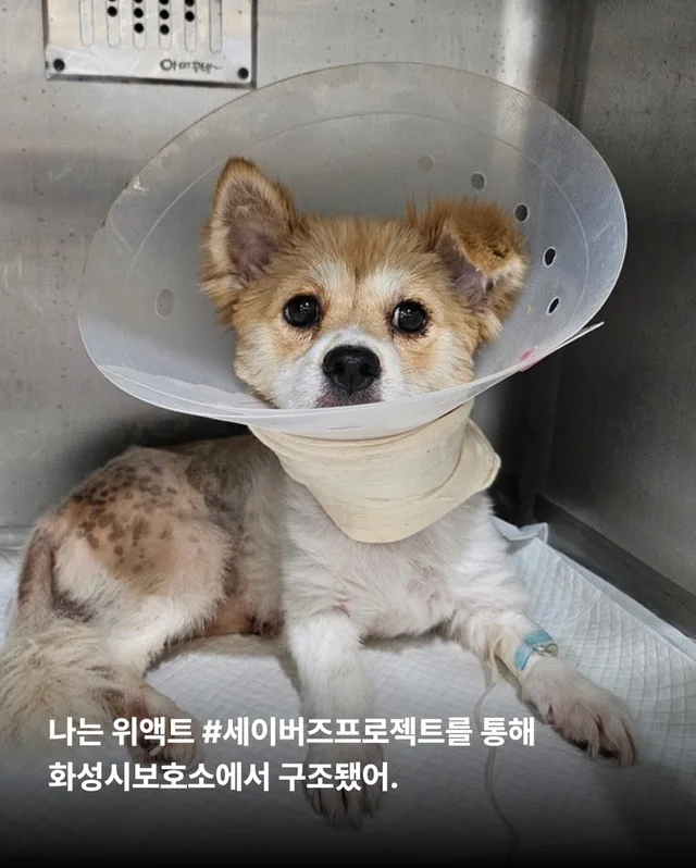 가족 품에서 더욱 빛나는 꼬리펠러 ! 현장 사진