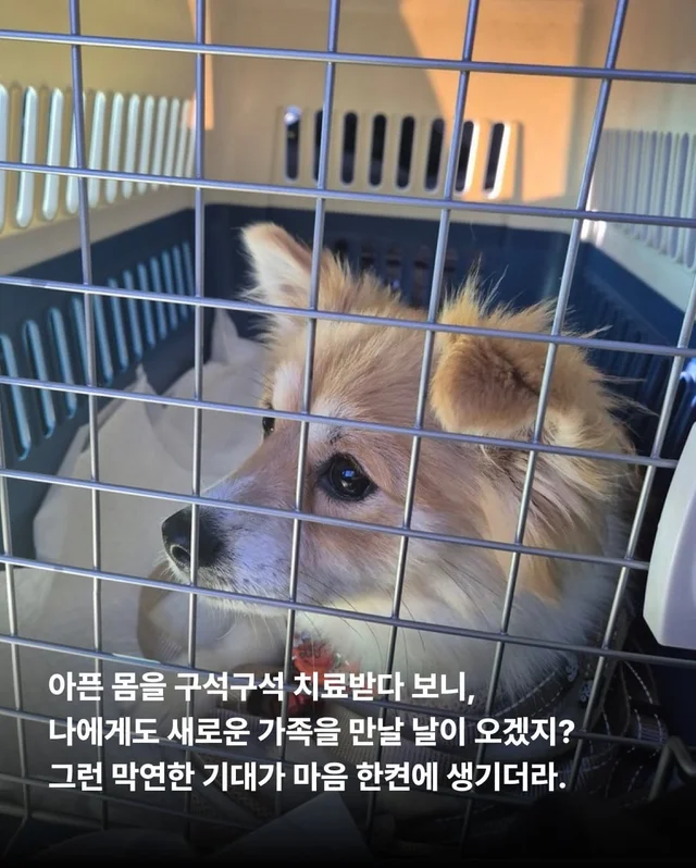 가족 품에서 더욱 빛나는 꼬리펠러 ! 현장 사진