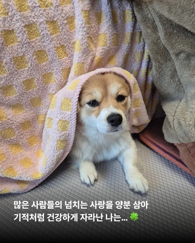 가족 품에서 더욱 빛나는 꼬리펠러 ! 현장 사진