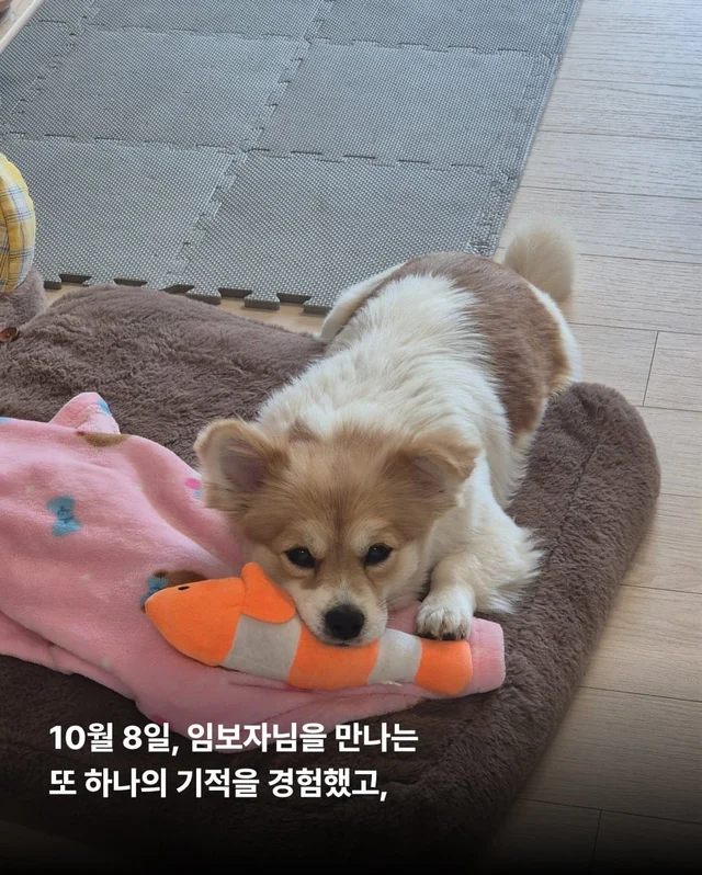 가족 품에서 더욱 빛나는 꼬리펠러 ! 현장 사진