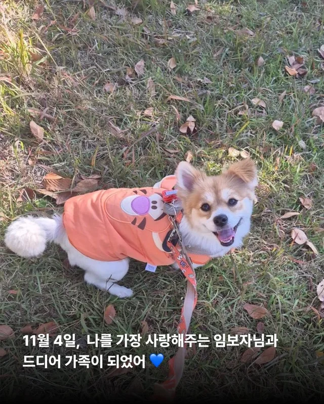 가족 품에서 더욱 빛나는 꼬리펠러 ! 현장 사진