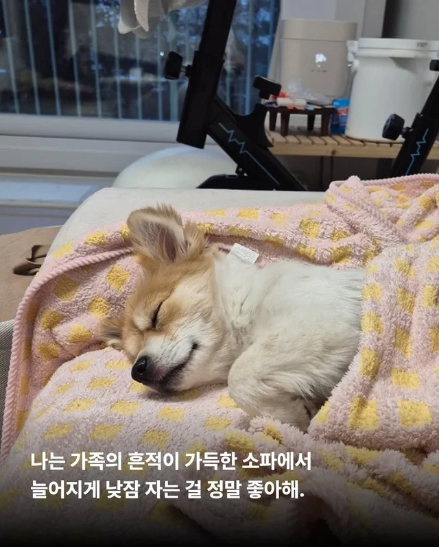 가족 품에서 더욱 빛나는 꼬리펠러 ! 현장 사진