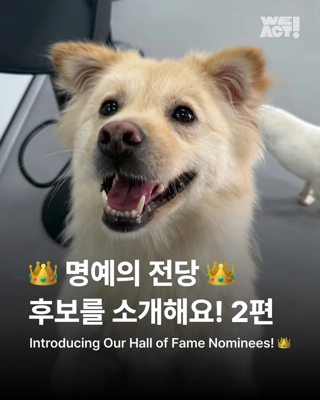 명예의 전당 2 - 위액트 단테(화성팔탄개농장), 오포(.. 현장 사진