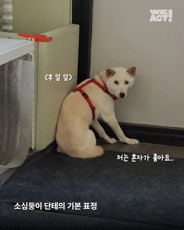 명예의 전당 2 - 위액트 단테(화성팔탄개농장), 오포(.. 현장 사진
