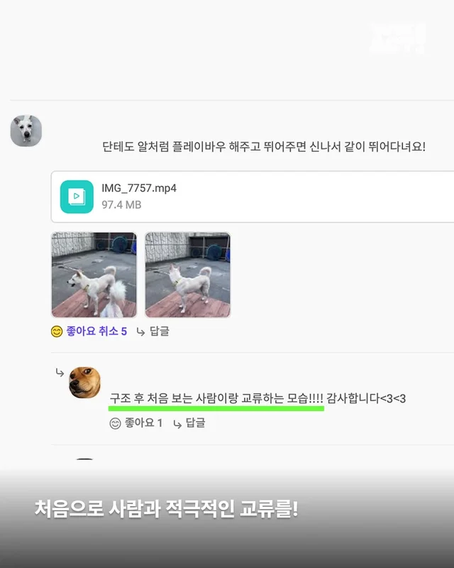 명예의 전당 2 - 위액트 단테(화성팔탄개농장), 오포(.. 현장 사진