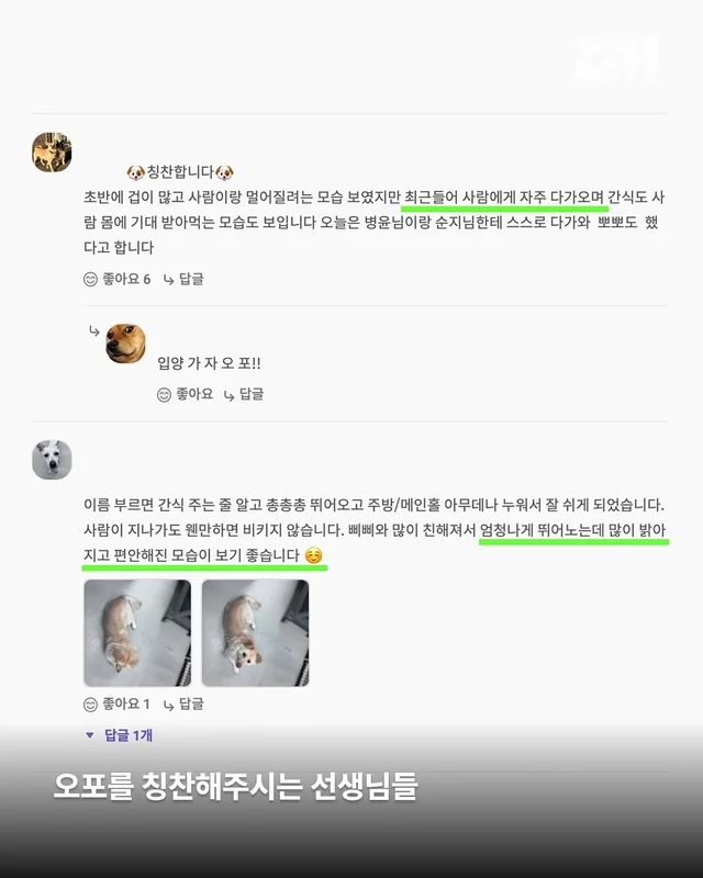명예의 전당 2 - 위액트 단테(화성팔탄개농장), 오포(.. 현장 사진