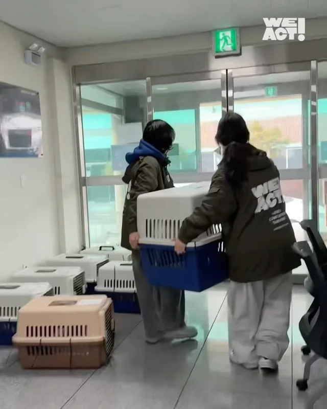 세이버즈 프로젝트 논산시보호소 현장 사진