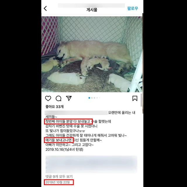 대물림된번식견 현장 사진