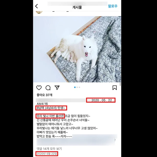 대물림된번식견 현장 사진