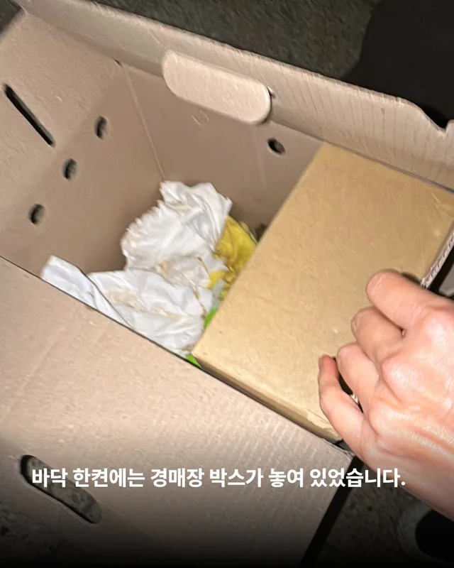 팔리지 않으면 가짜 보호소로 가요 #평택펫숍방치견 현장 사진