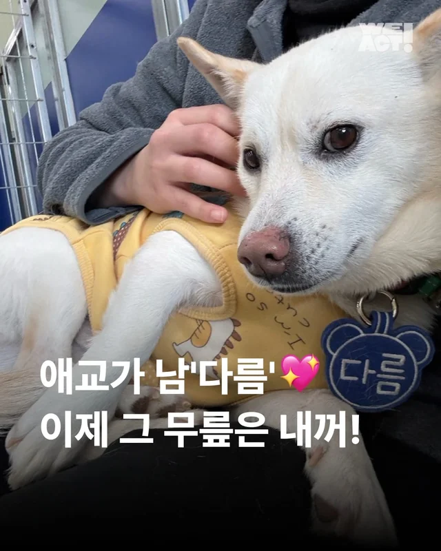 애교가 남다름 #위액트다름 현장 사진