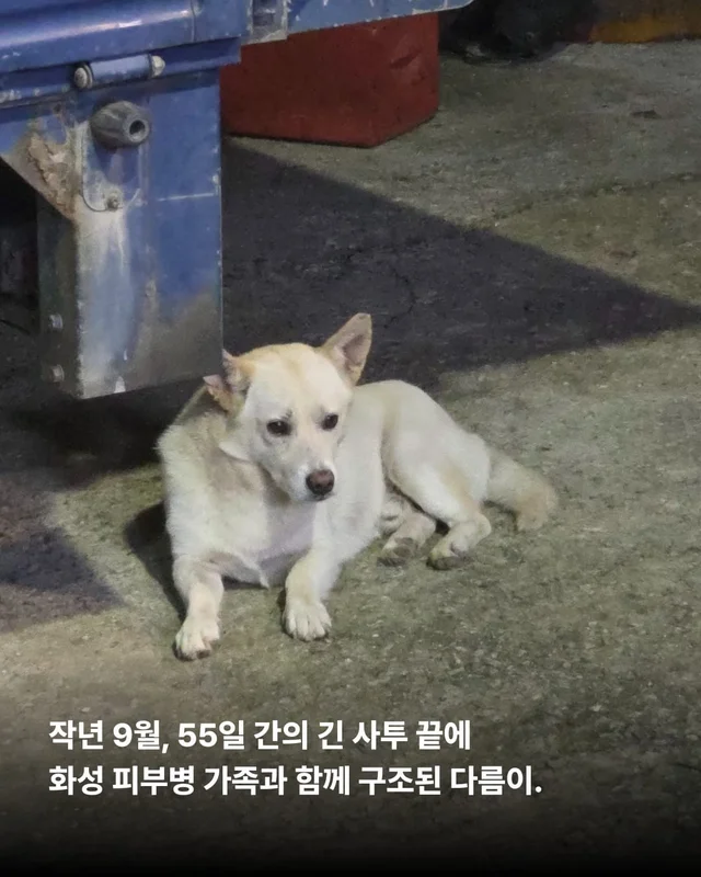 애교가 남다름 #위액트다름 현장 사진