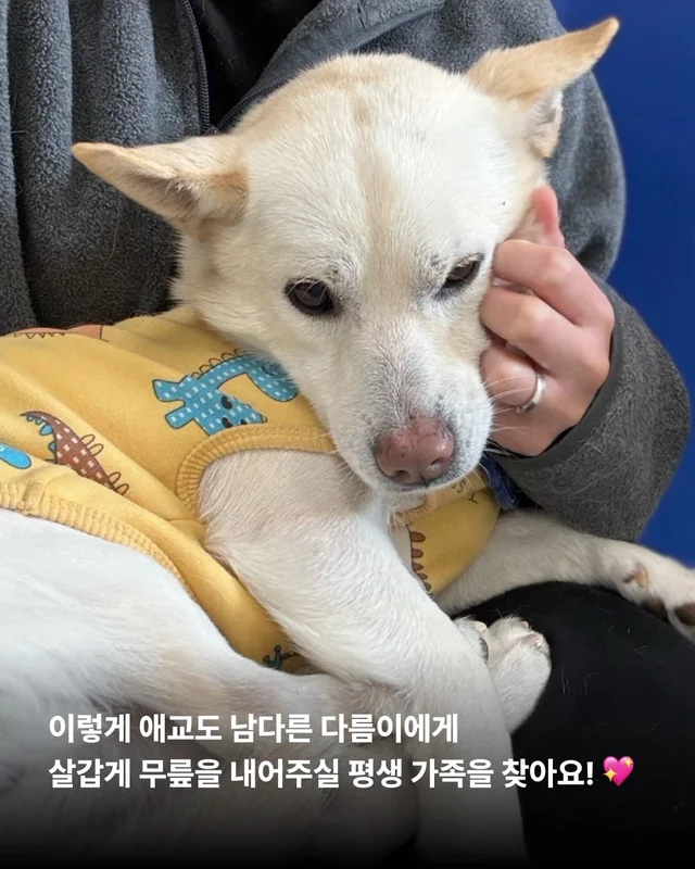 애교가 남다름 #위액트다름 현장 사진