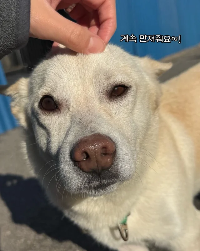 애교가 남다름 #위액트다름 현장 사진