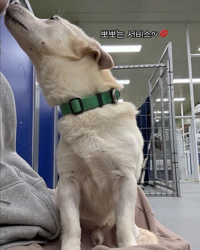 애교가 남다름 #위액트다름 현장 사진