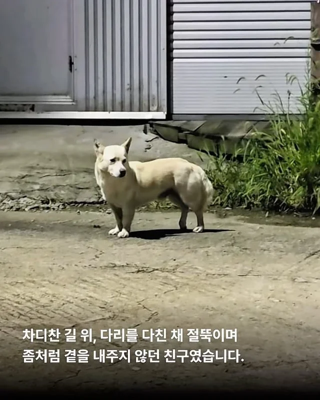 애교가 남다름 #위액트다름 현장 사진