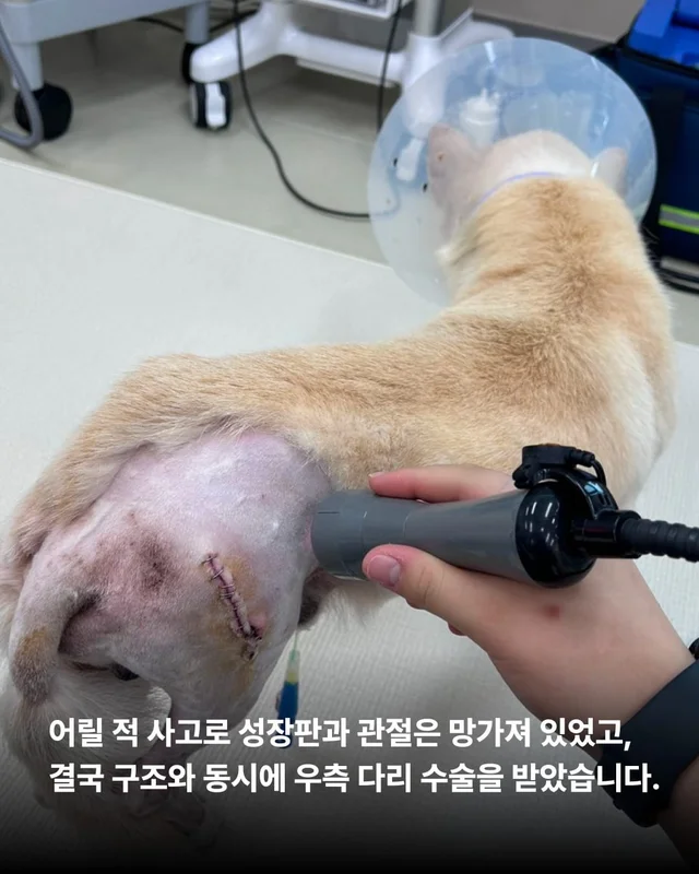 애교가 남다름 #위액트다름 현장 사진