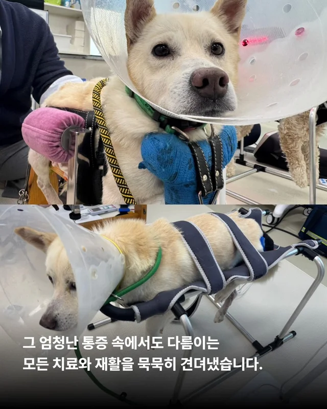 애교가 남다름 #위액트다름 현장 사진