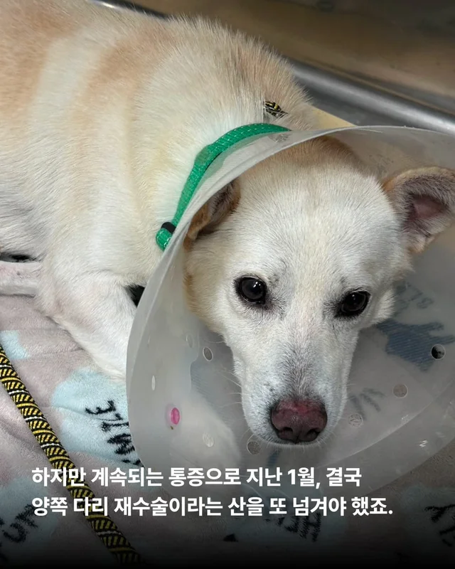 애교가 남다름 #위액트다름 현장 사진