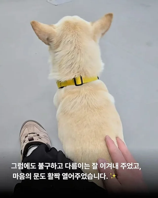 애교가 남다름 #위액트다름 현장 사진