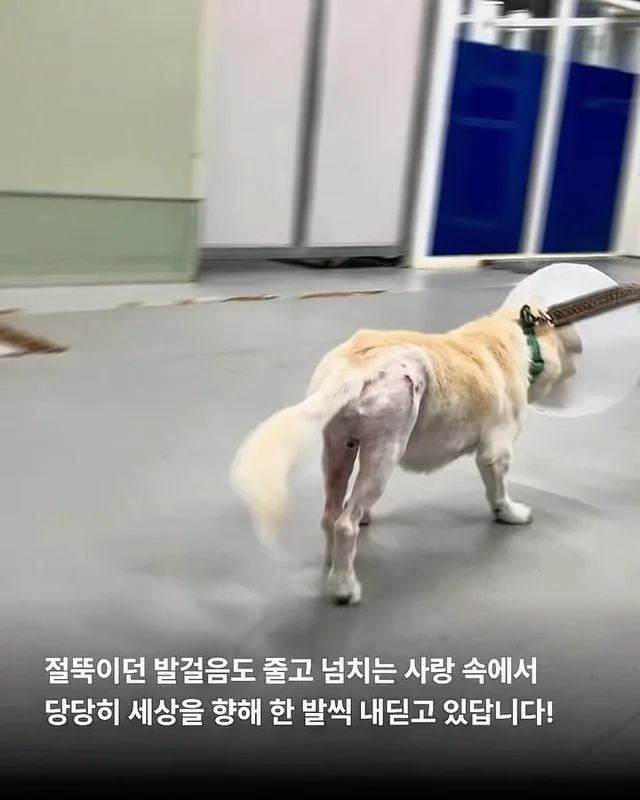 애교가 남다름 #위액트다름 현장 사진