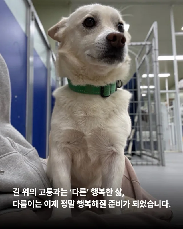 애교가 남다름 #위액트다름 현장 사진