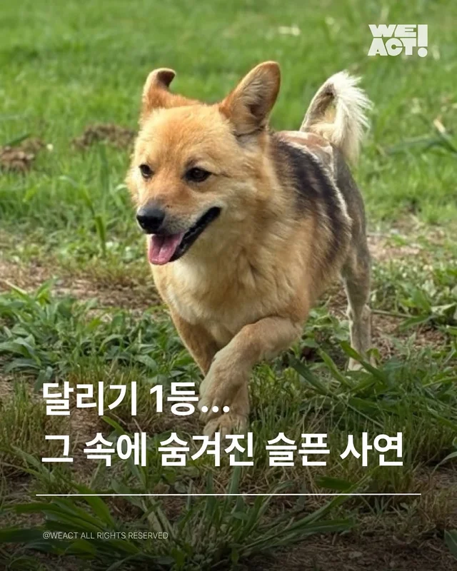 경북산불구조-위액트로다 현장 사진