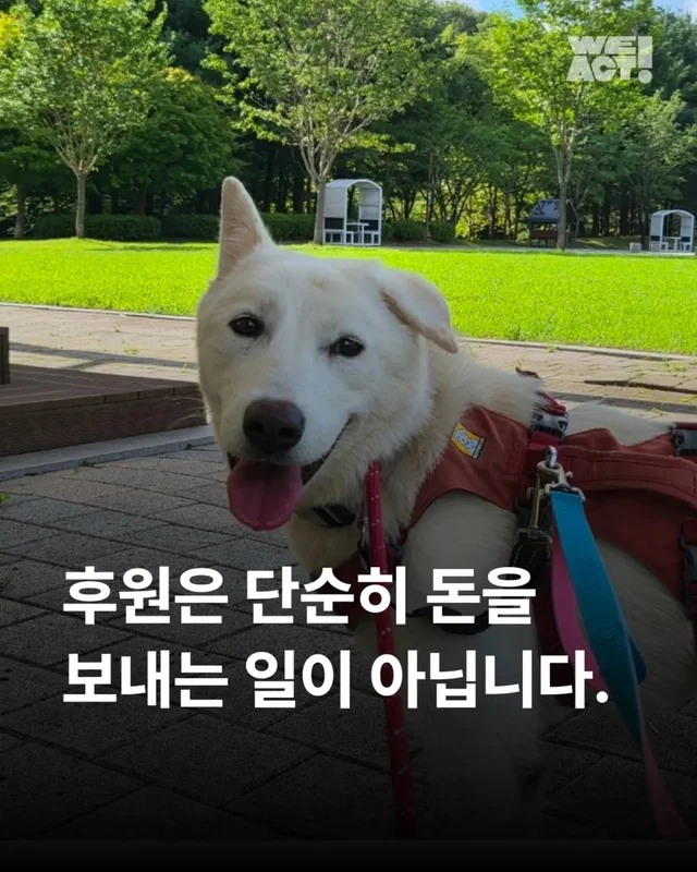 후원은 단순히 돈을 보내는 일이 아닙니다. 현장 사진