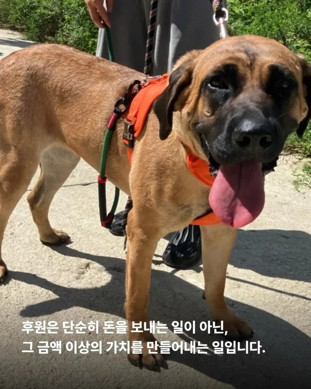 후원은 단순히 돈을 보내는 일이 아닙니다. 현장 사진