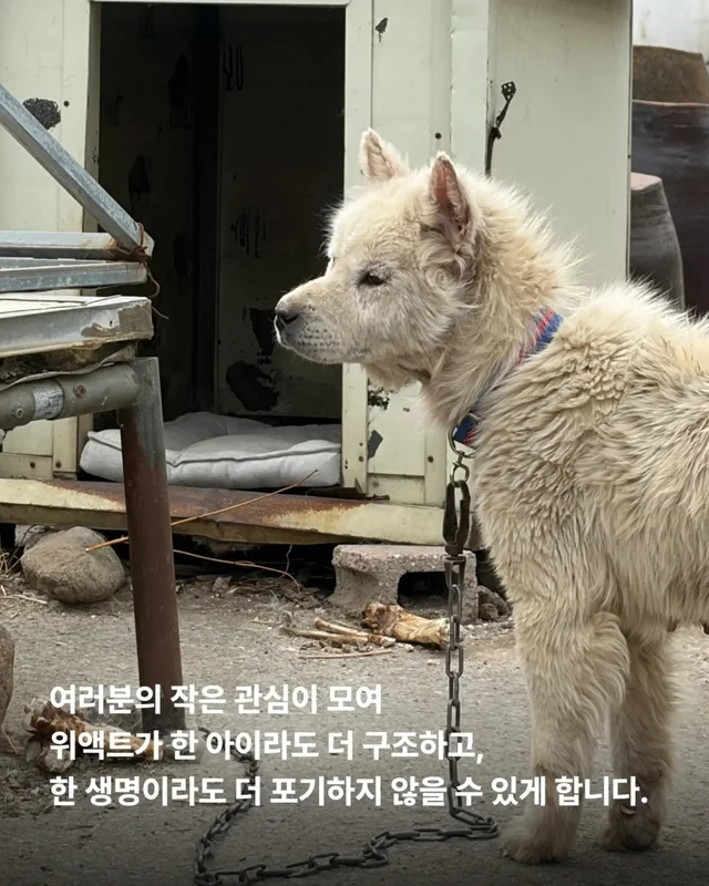 후원은 단순히 돈을 보내는 일이 아닙니다. 현장 사진