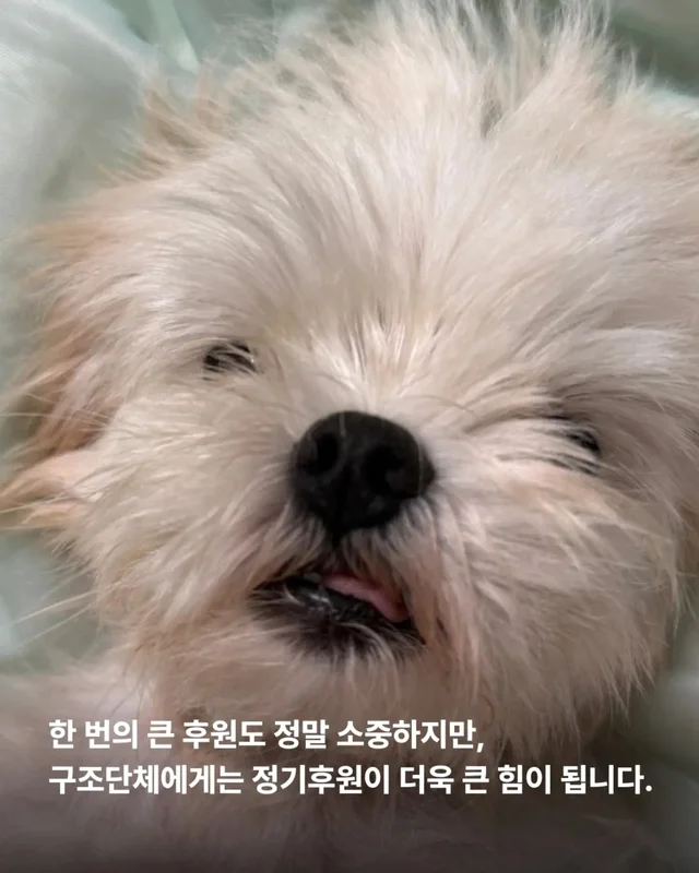 후원은 단순히 돈을 보내는 일이 아닙니다. 현장 사진