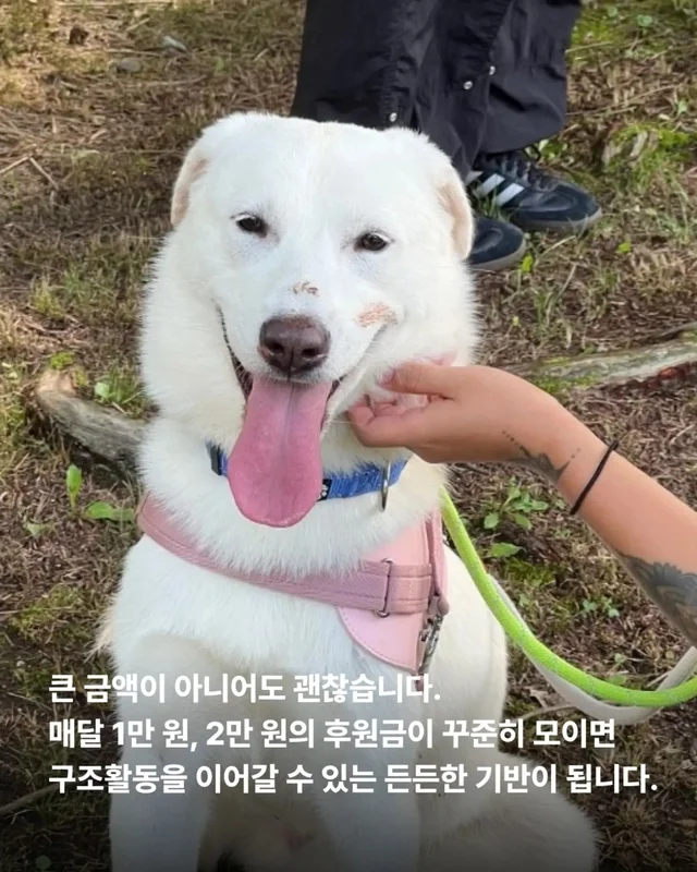후원은 단순히 돈을 보내는 일이 아닙니다. 현장 사진