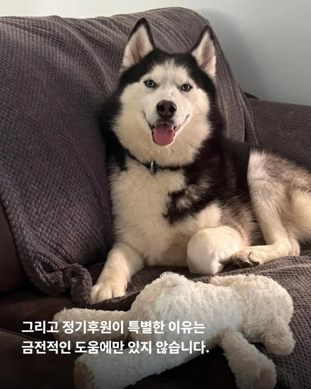 후원은 단순히 돈을 보내는 일이 아닙니다. 현장 사진