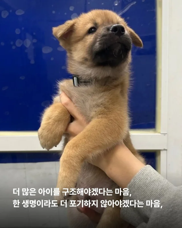 후원은 단순히 돈을 보내는 일이 아닙니다. 현장 사진