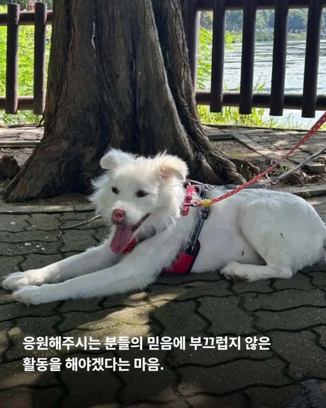 후원은 단순히 돈을 보내는 일이 아닙니다. 현장 사진