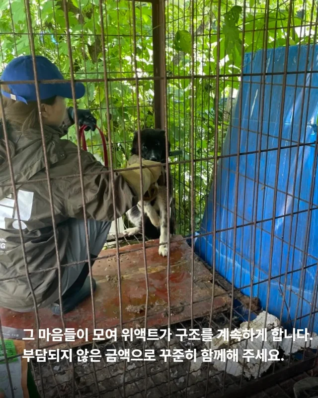후원은 단순히 돈을 보내는 일이 아닙니다. 현장 사진