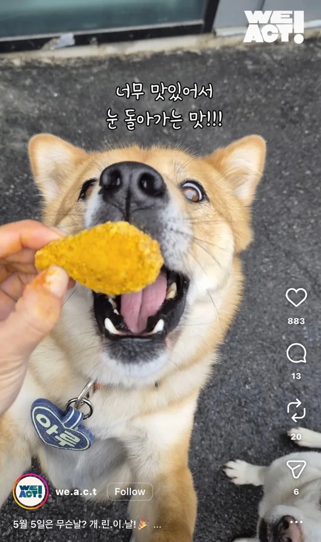 개린이날 현장 사진