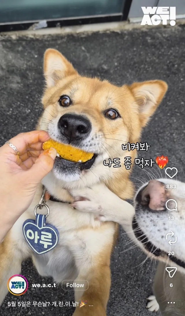 개린이날 현장 사진