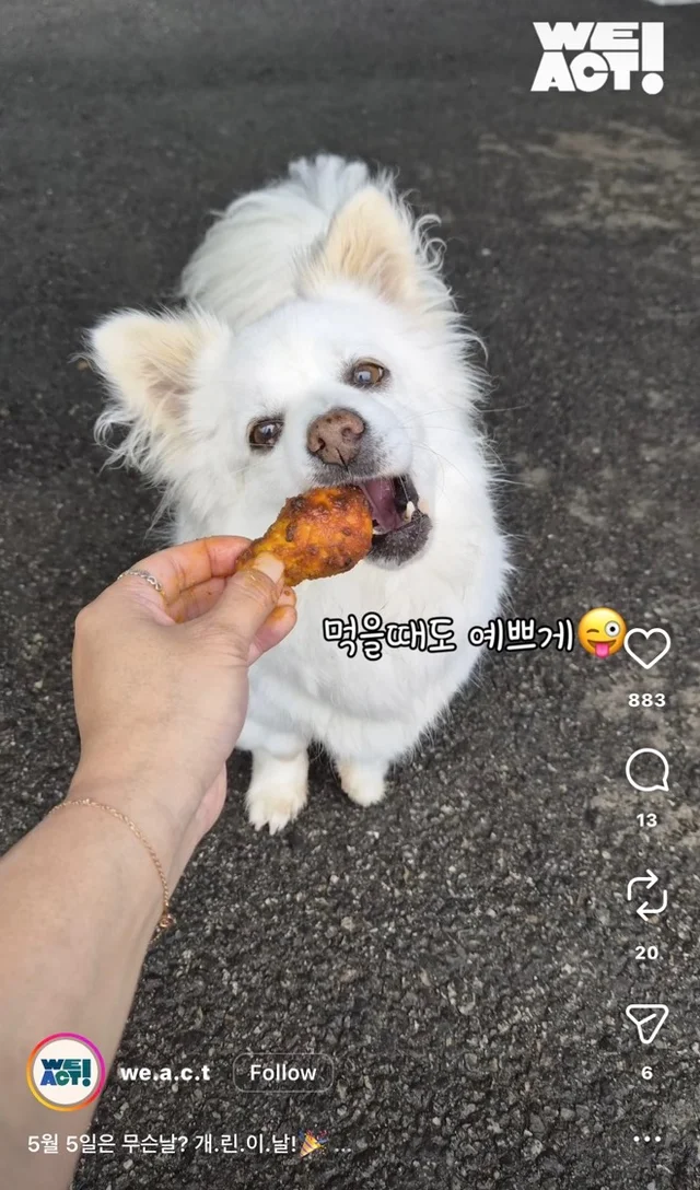 개린이날 현장 사진
