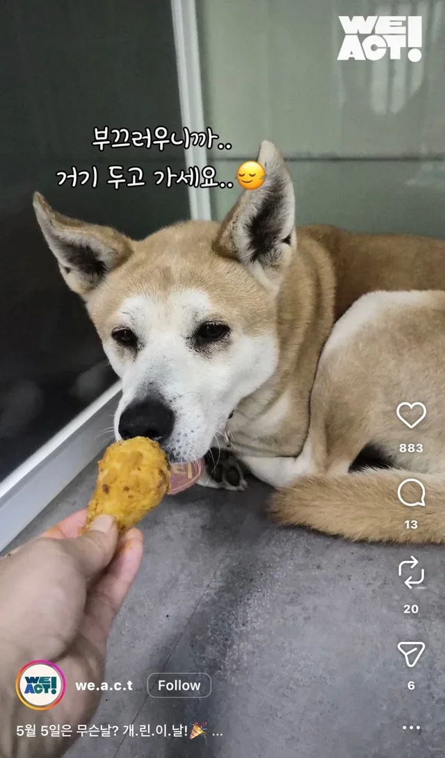 개린이날 현장 사진